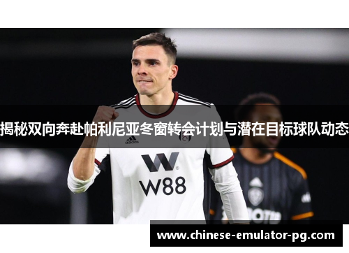 揭秘双向奔赴帕利尼亚冬窗转会计划与潜在目标球队动态