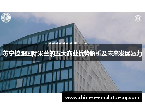 苏宁控股国际米兰的五大商业优势解析及未来发展潜力 苏宁控股国际米兰的五大商业优势解析及未来发展潜力