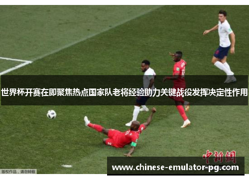 世界杯开赛在即聚焦热点国家队老将经验助力关键战役发挥决定性作用