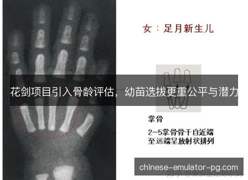 花剑项目引入骨龄评估，幼苗选拔更重公平与潜力